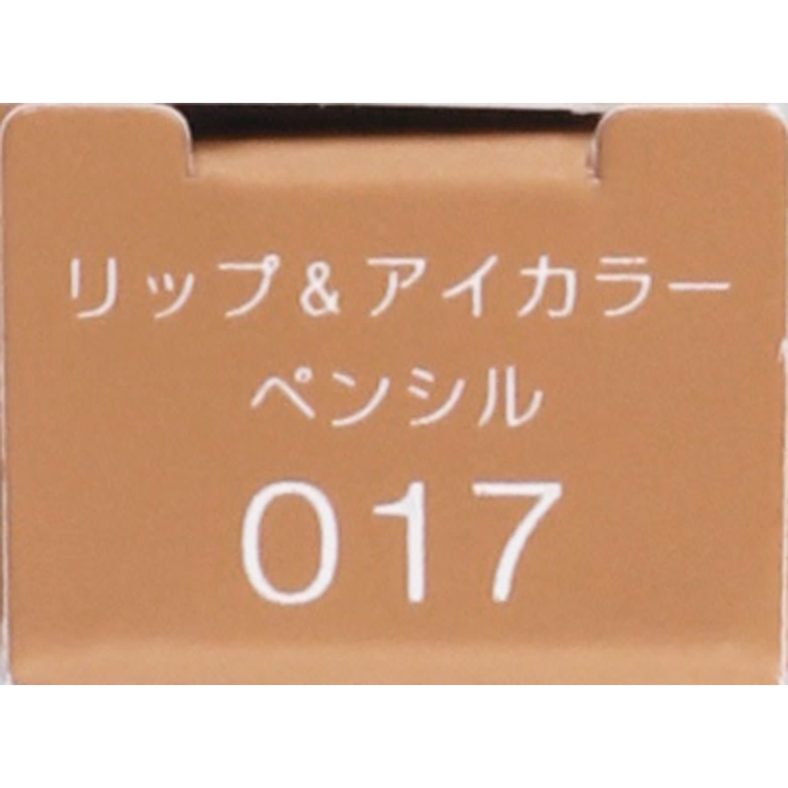 ヴィセ アヴァン リップ＆アイカラー ペンシル ０１７ １．２ｇ コーセー