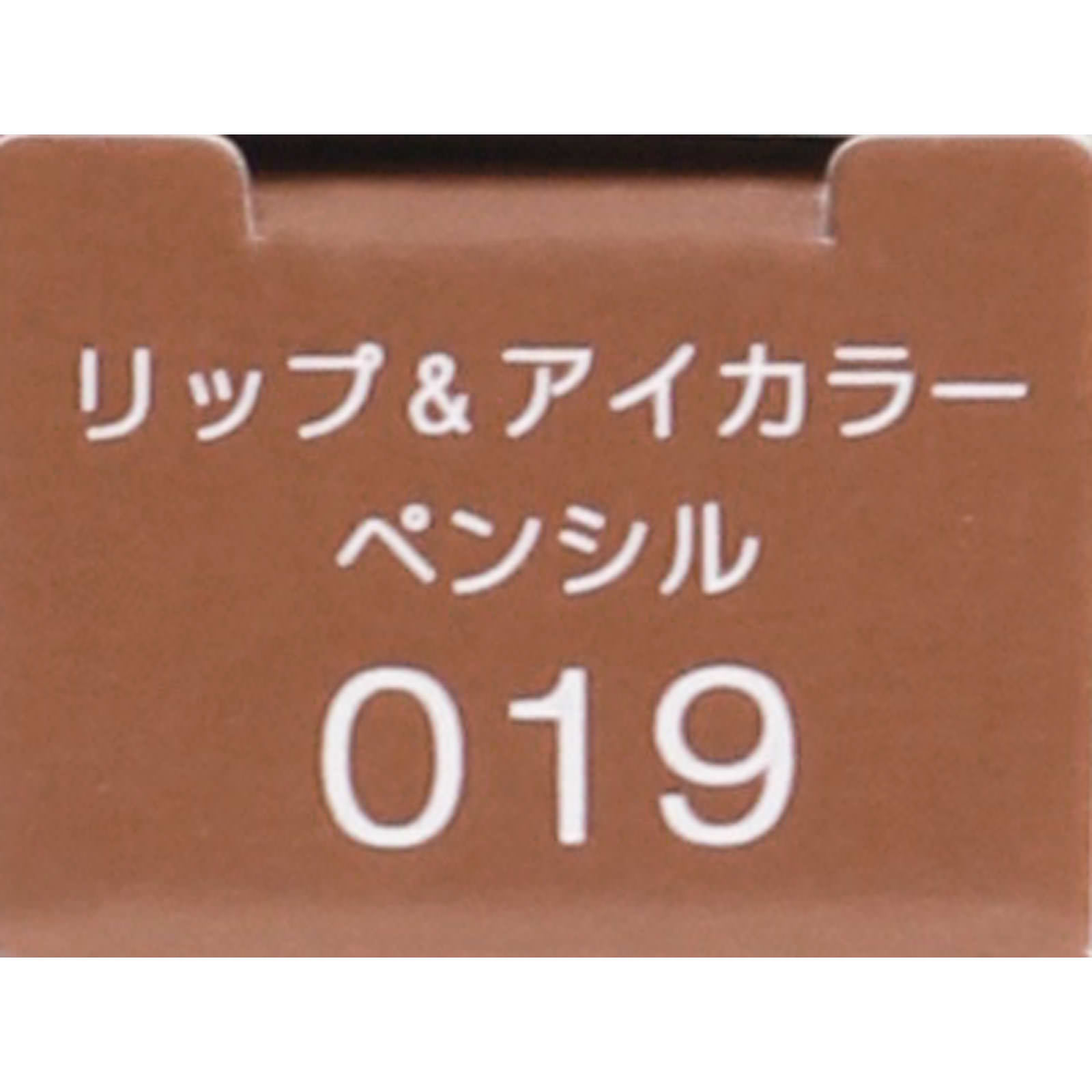 ヴィセ アヴァン リップ＆アイカラー ペンシル ０１９ １．２ｇ コーセー