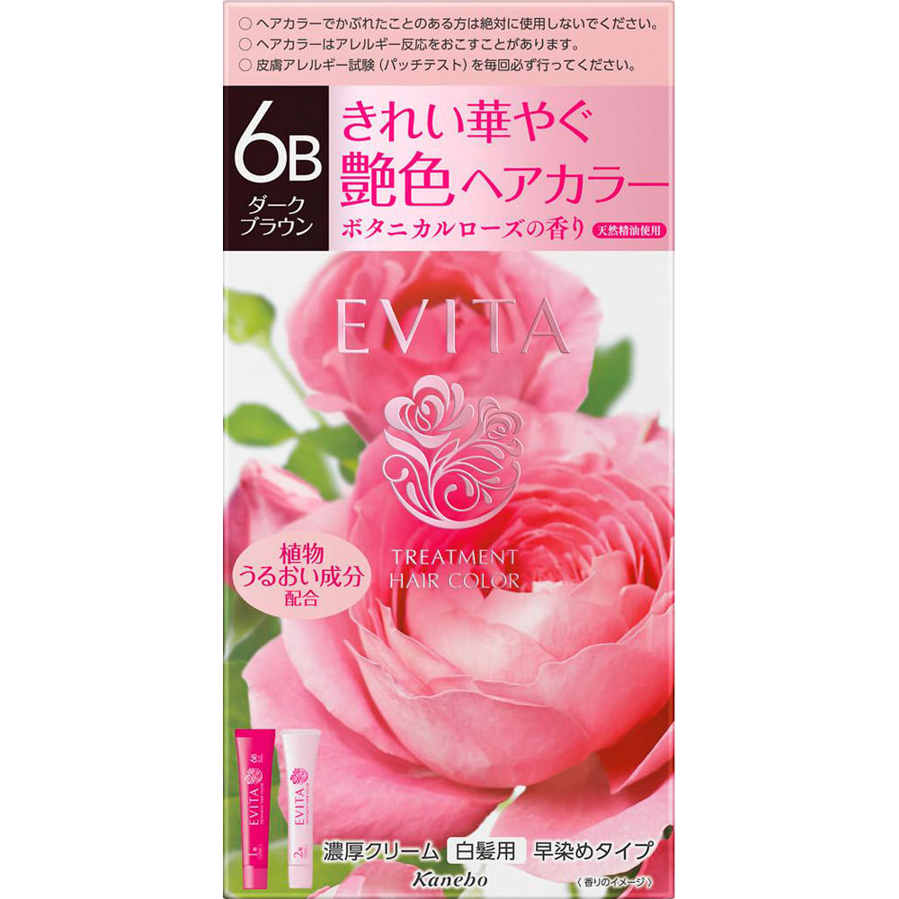 エビータ　トリートメントヘアカラー　６Ｂ ４５ｇ＋４５ｇ カネボウ化粧品 (医薬部外品)