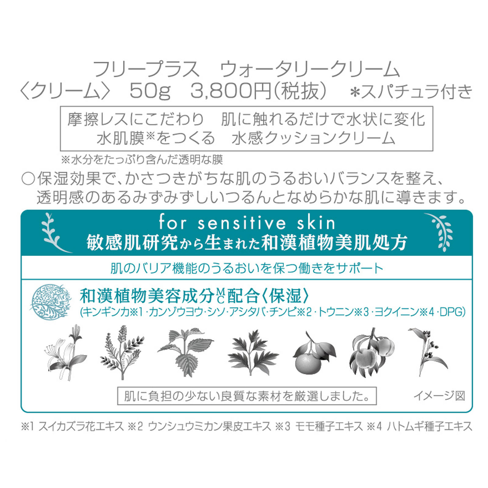 フリープラス　ウォータリークリーム ５０ｇ カネボウ化粧品
