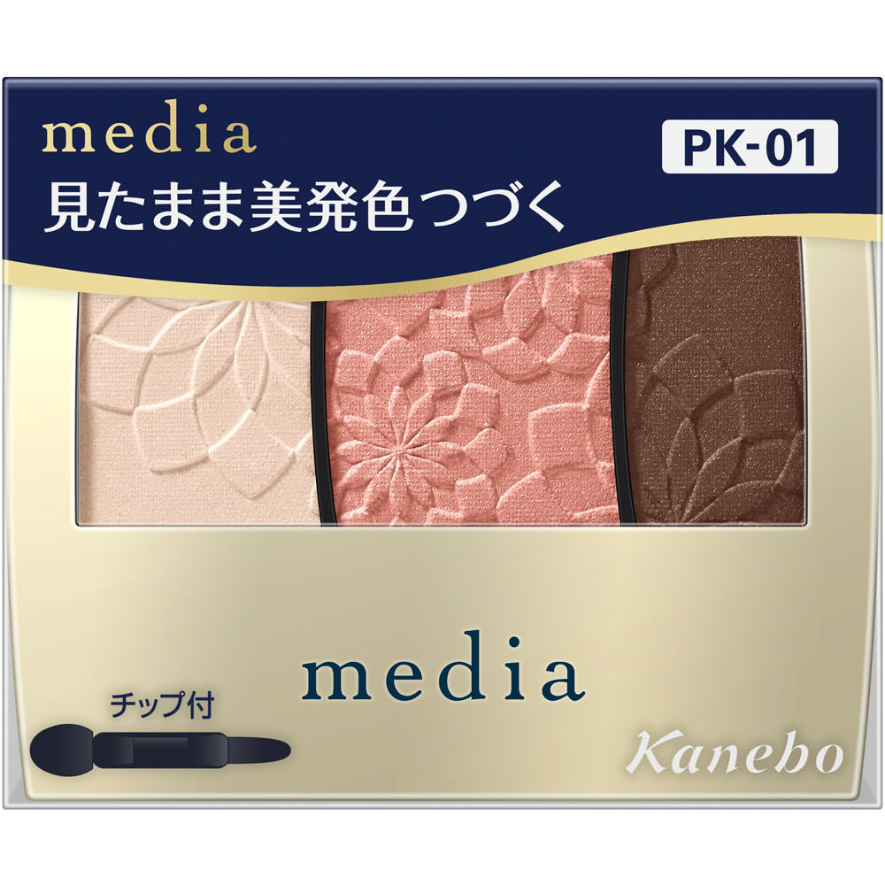 メディア　グラデカラーアイシャドウＮ　ＰＫ－０１ ３．１ｇ カネボウ化粧品