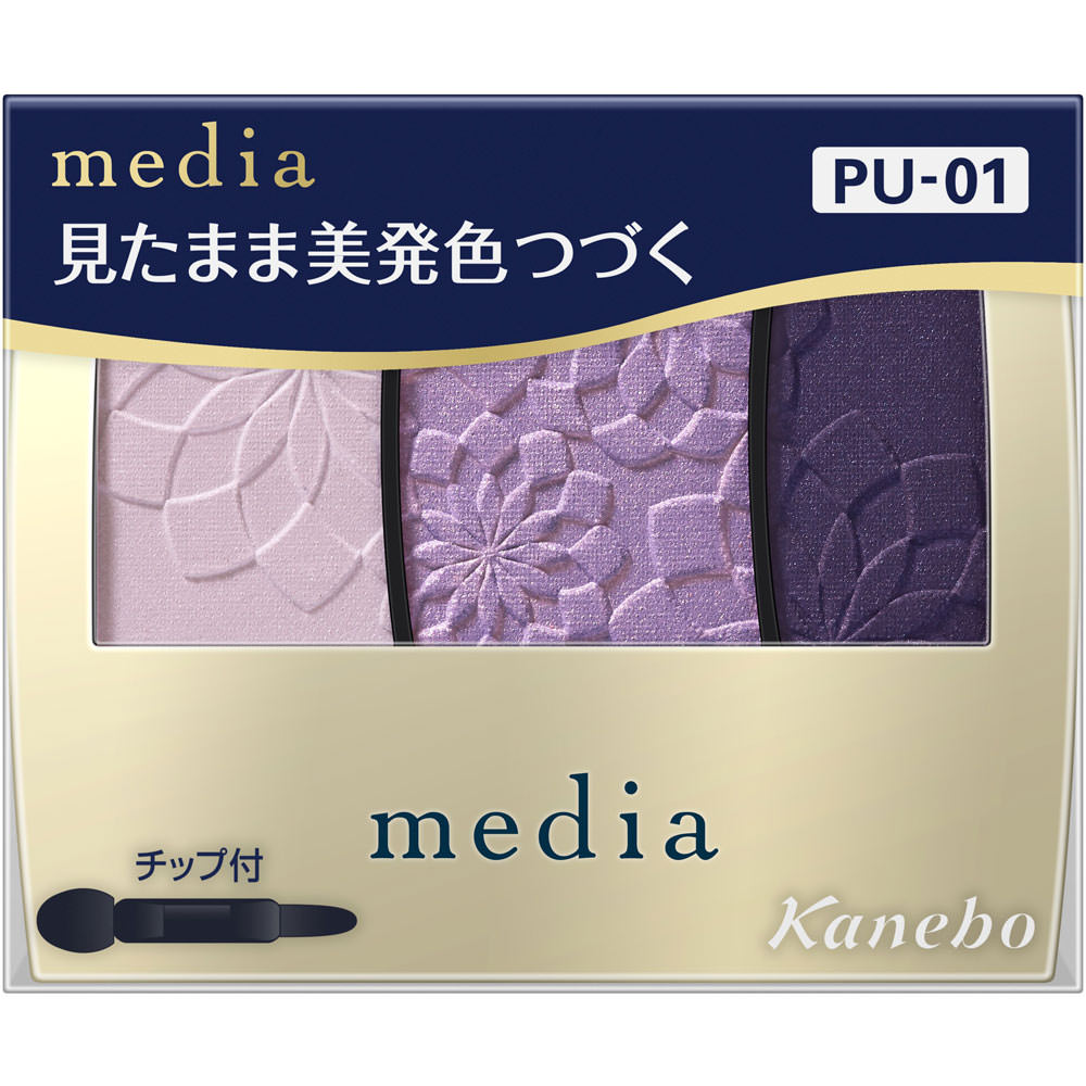 メディア　グラデカラーアイシャドウＮ　ＰＵ－０１ ３．１ｇ カネボウ化粧品