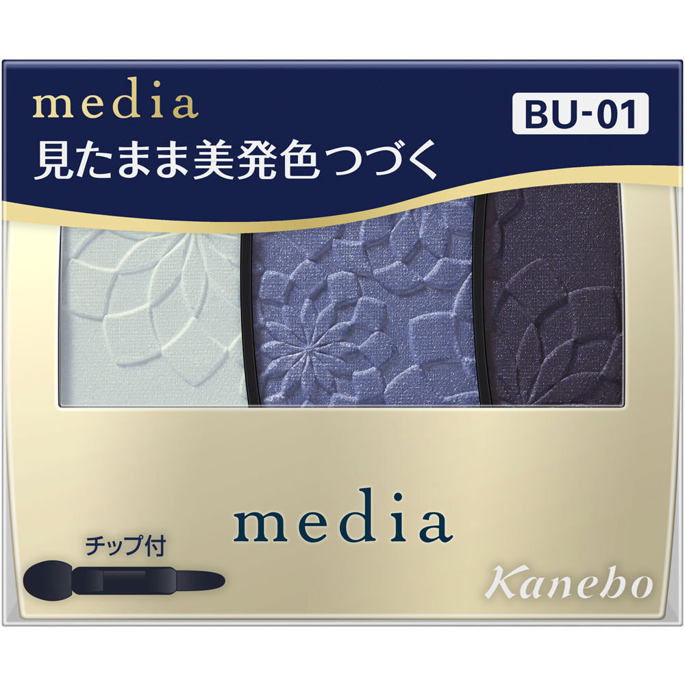 メディア　グラデカラーアイシャドウＮ　ＢＵ－０１ ３．１ｇ カネボウ化粧品