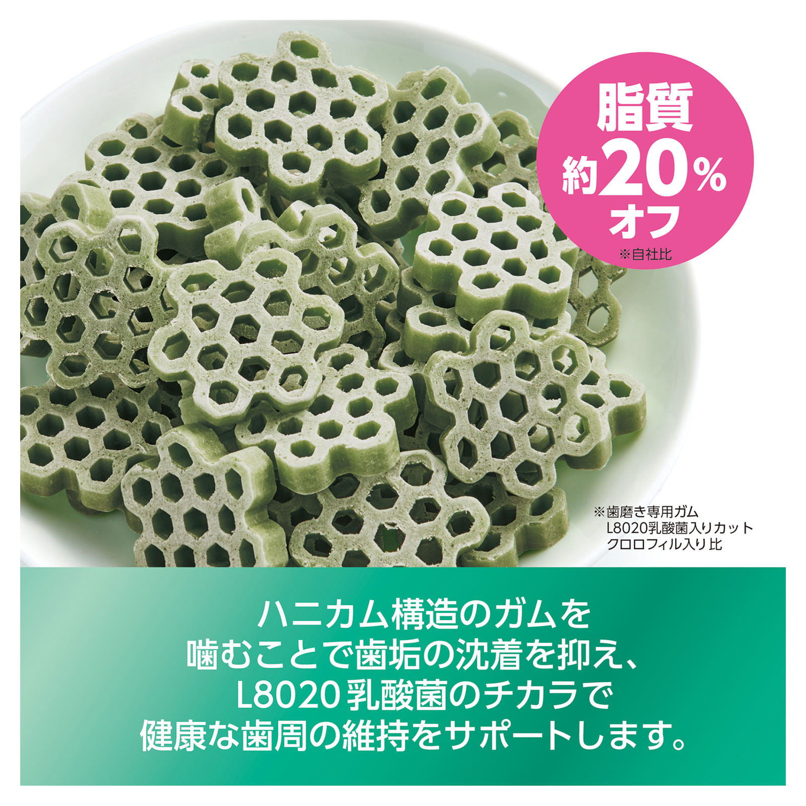 ゴン太の歯磨き専用ガムＬ８０２０Ｃクロロ低脂肪 １２０ｇ サンライズ