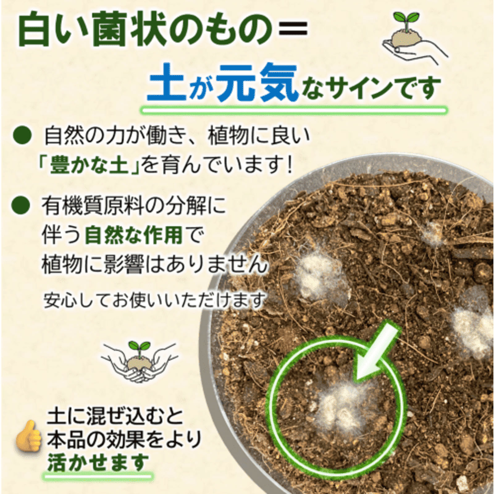 Ｘ－ＥＮＥＲＧＹロング粒タイプ ７００ｇ ＫＩＮＣＨＯ園芸