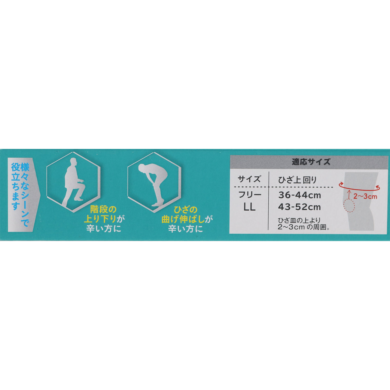 中山式ひざ用医学固定帯メッシュ LL １個入 中山式産業