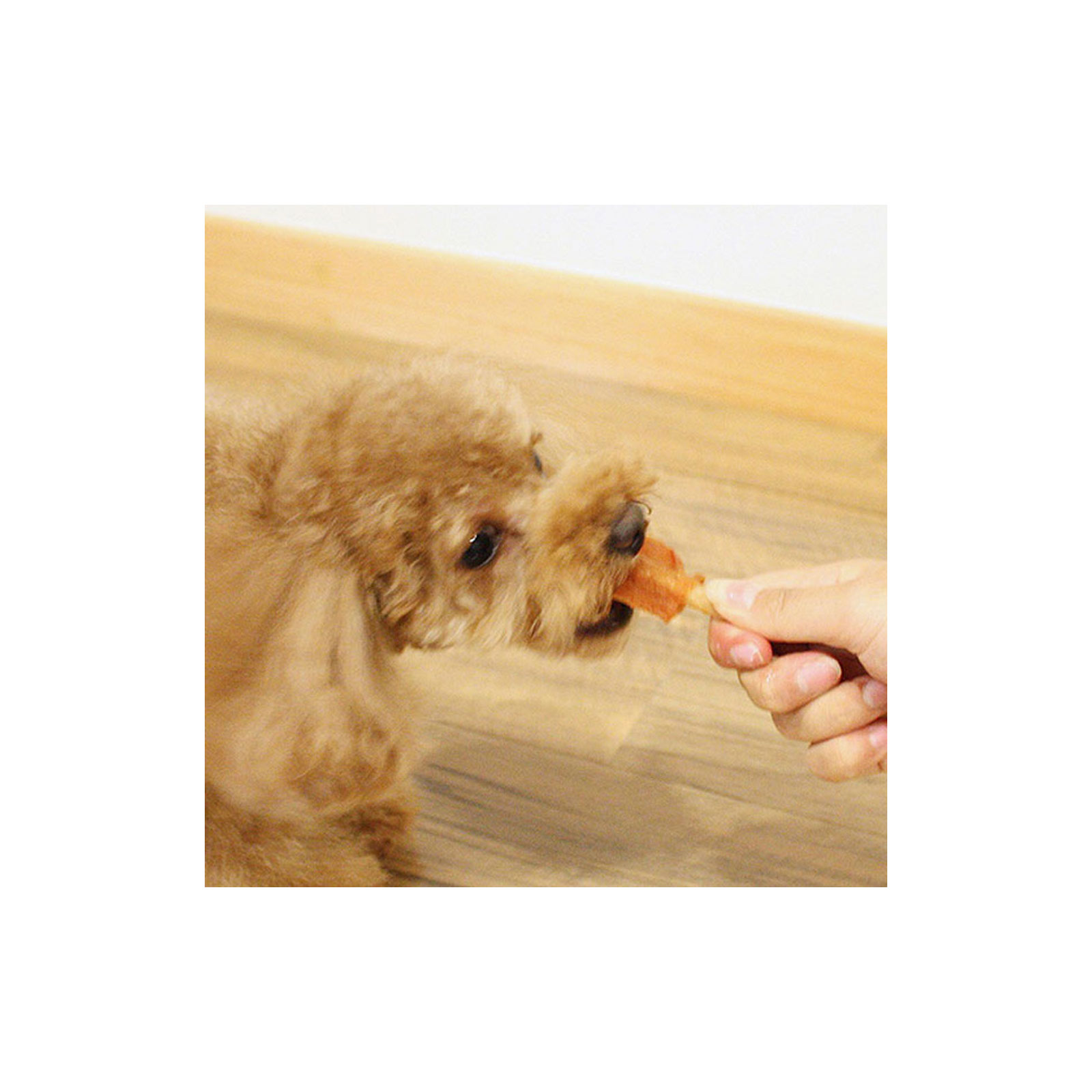 こだわりササミドッグ ９本 ドギーマンハヤシ