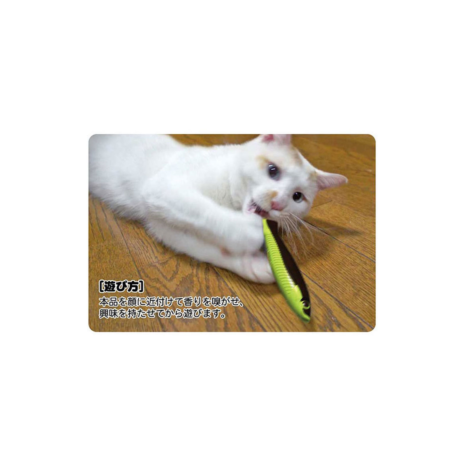 じゃれ猫 発見！またたび魚 ブルー ドギーマンハヤシ