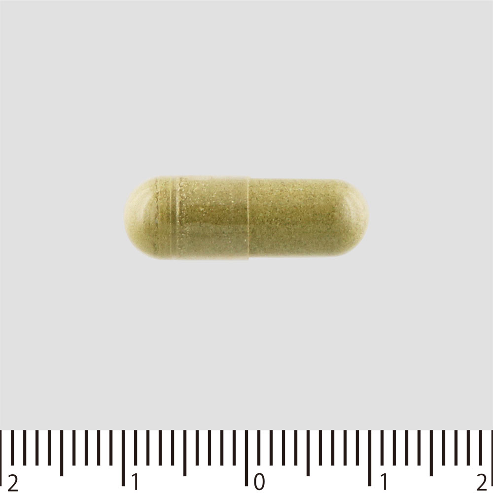 カロリー気にならないサプリ 糖質 ９０粒 ファイン
