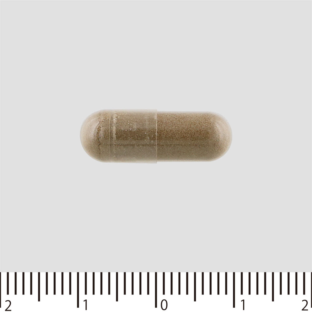 カロリー気にならないサプリ 脂質 ９０粒 ファイン