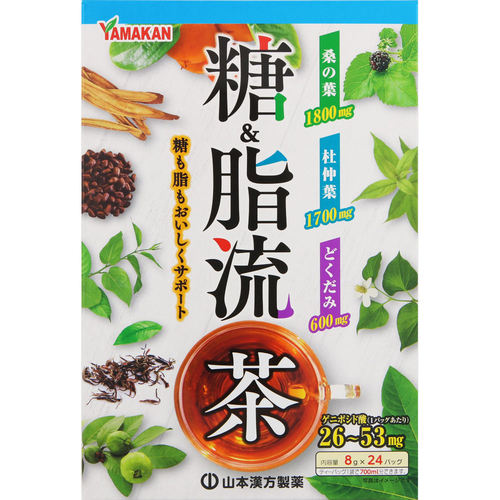 糖＆脂流茶 ２４Ｈ 山本漢方製薬