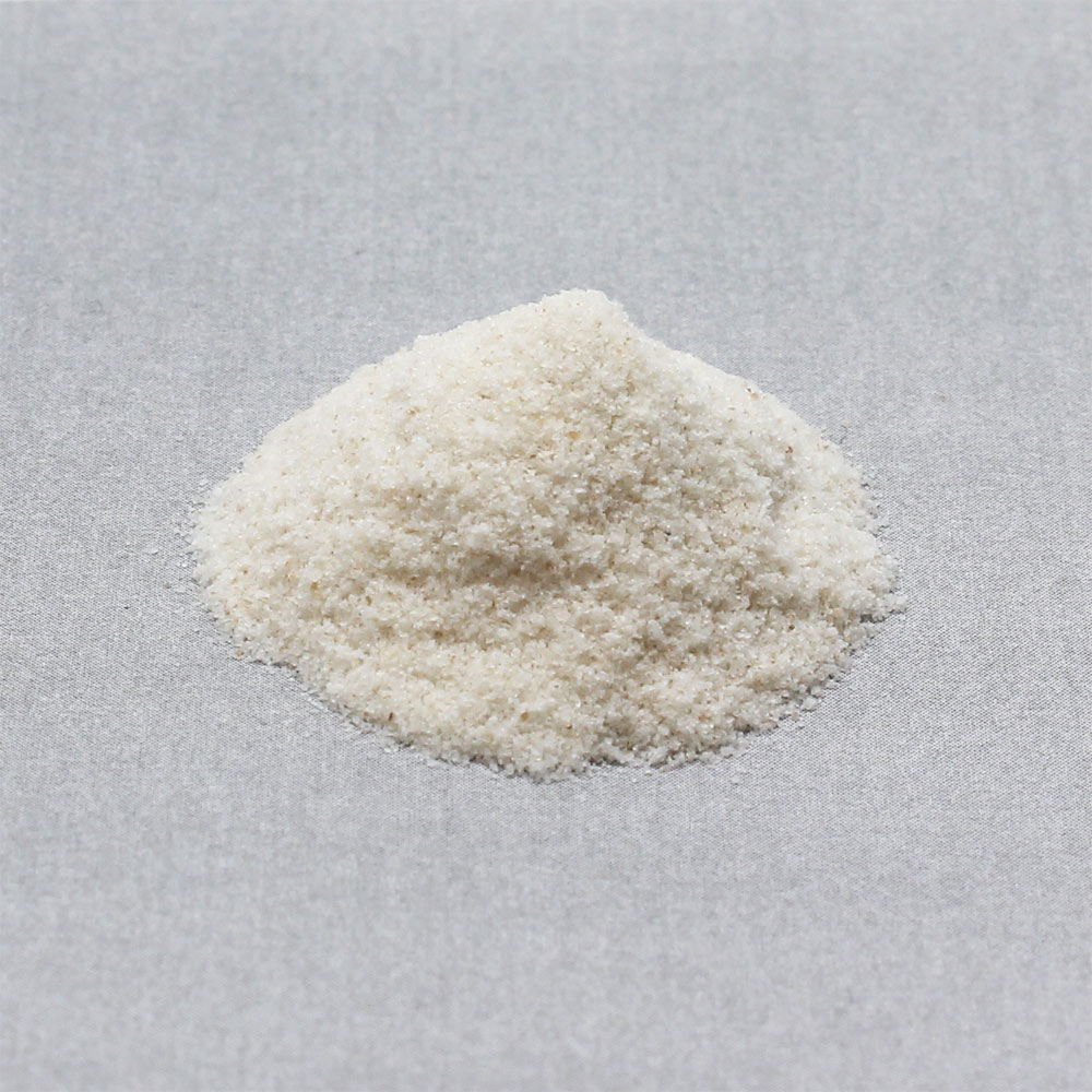 サイリウム ５００ｇ 山本漢方製薬