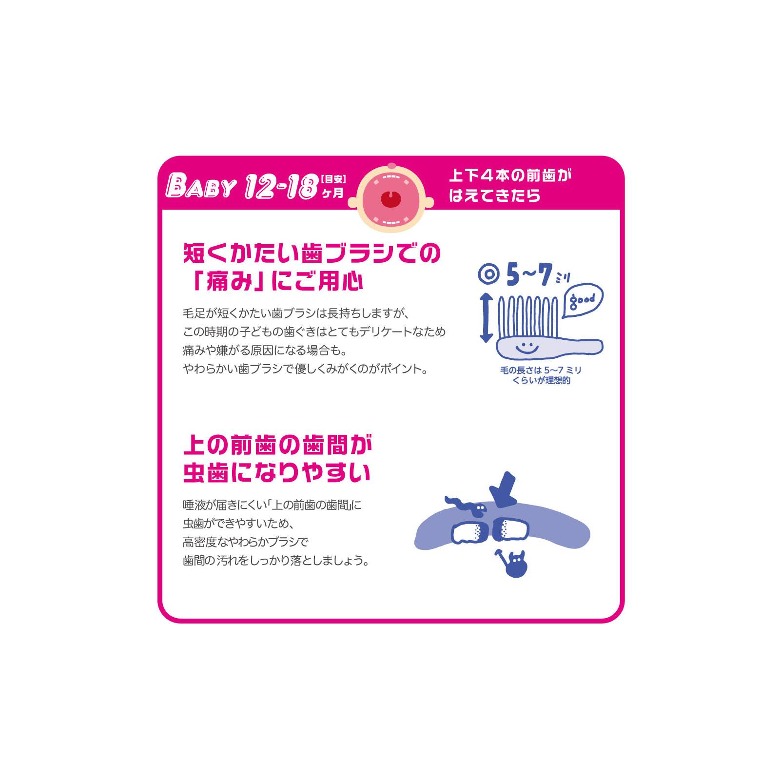 みみたろうページ Amazon.co.jp: みみ太郎 SX-013 (ホワイトベージュ) : ホーム