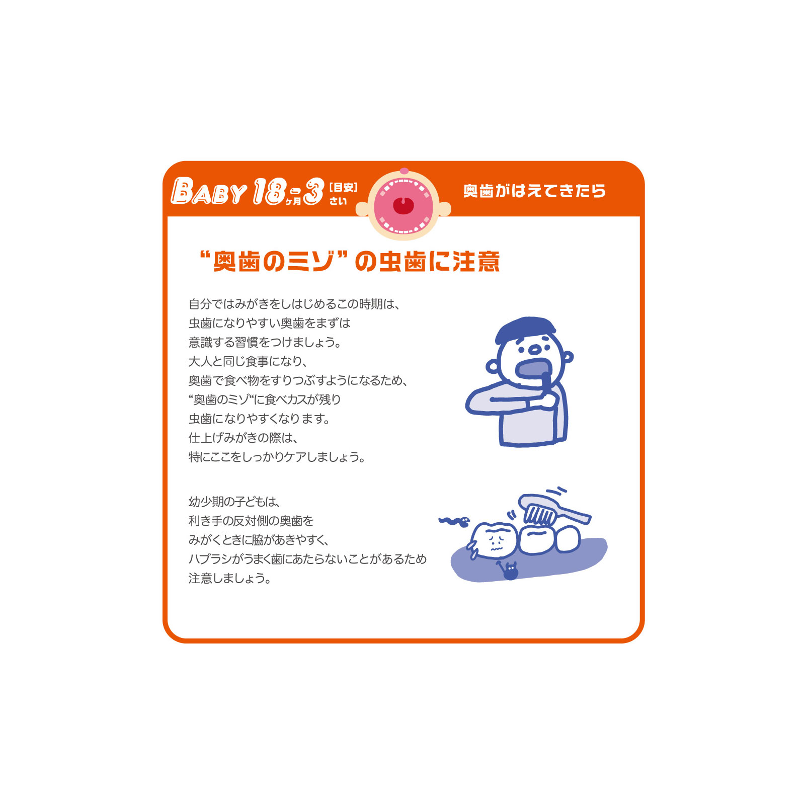 はみがき先生　奥歯が磨きやすい歯ブラシ １本 オカムラ