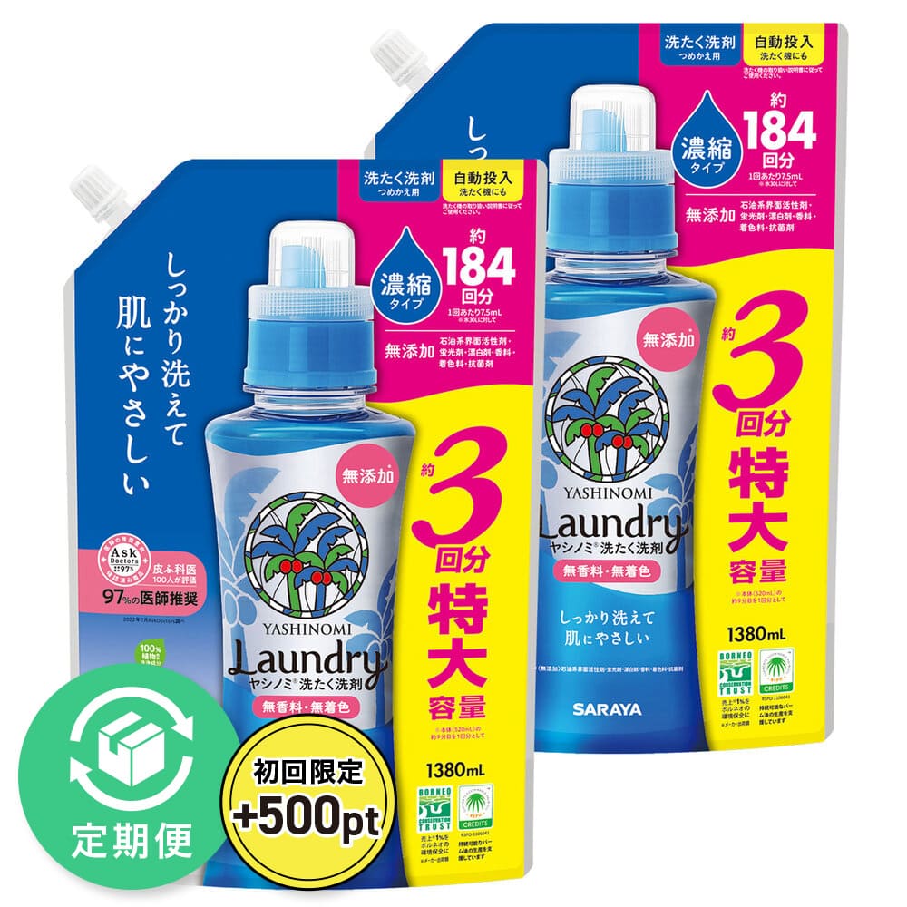 ヤシノミ洗たく洗剤　濃縮タイプ　詰替用 ２個入り サラヤ