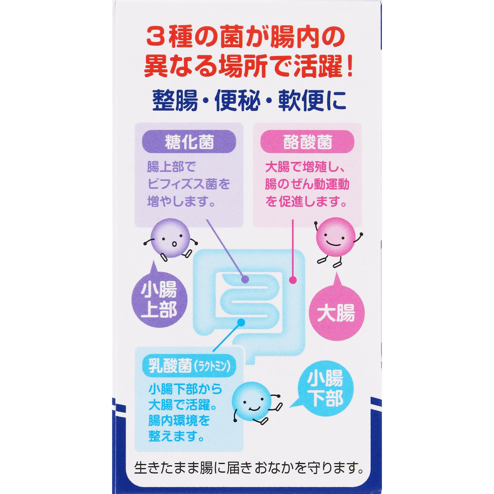 宇津こども整腸薬TP ４５ｇ 宇津救命丸 (指定医薬部外品)
