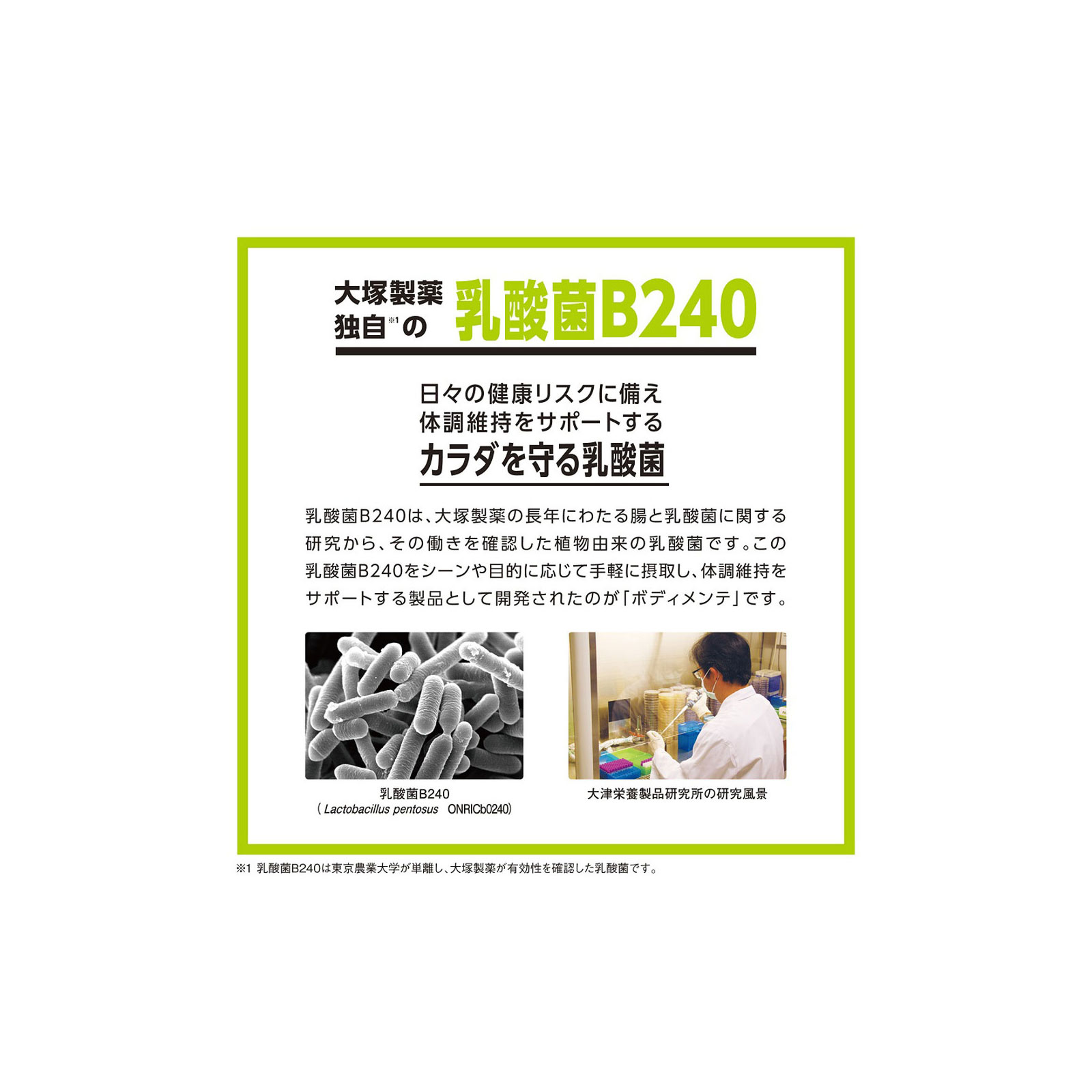 ボディメンテ　ドリンクケース ５００ｍｌｘ２４ 大塚製薬