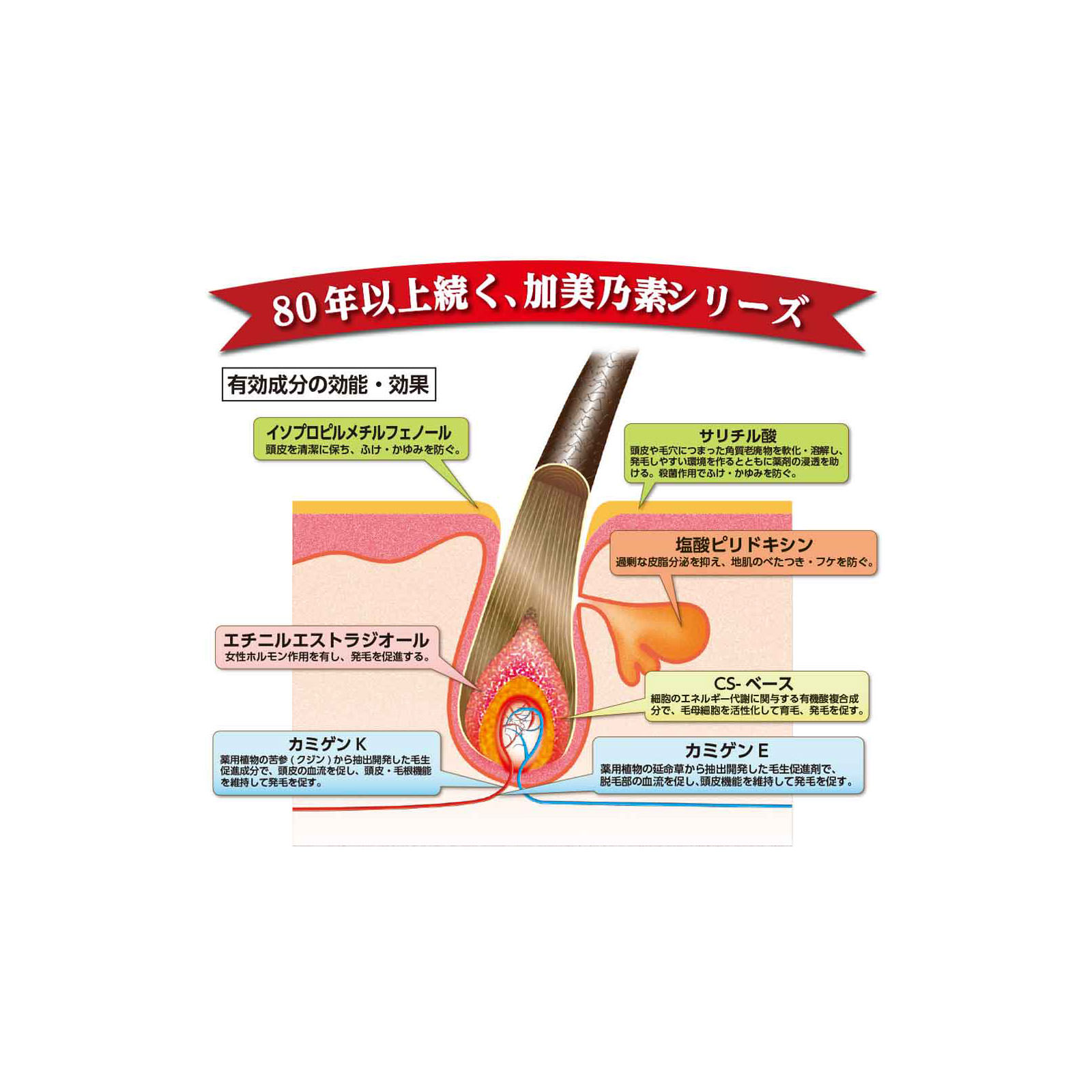 強力加美乃素Ａ 無香料 ２００ｍｌ 加美乃素本舗 (医薬部外品)