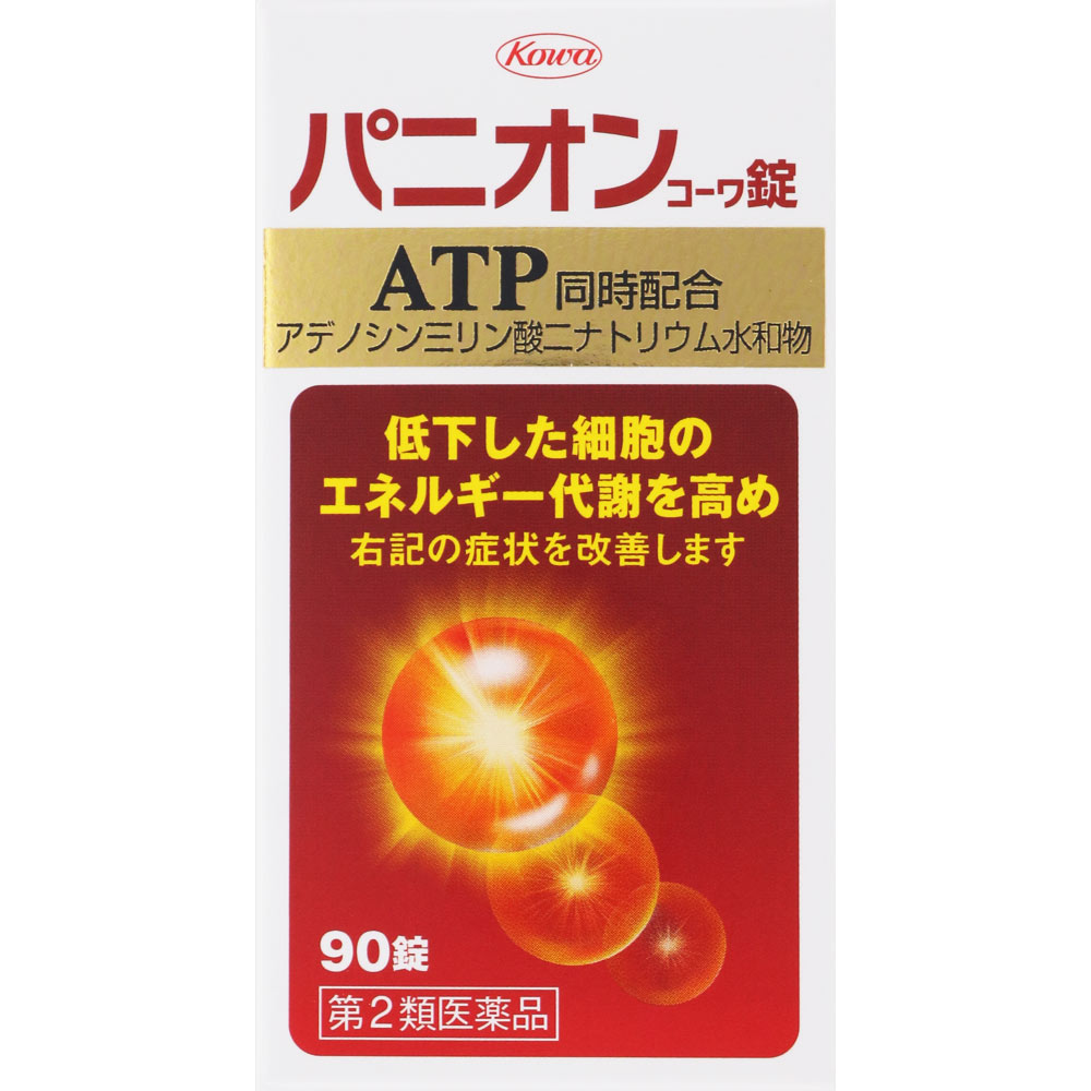パニオンコーワ錠 ９０錠 興和 【第2類医薬品】