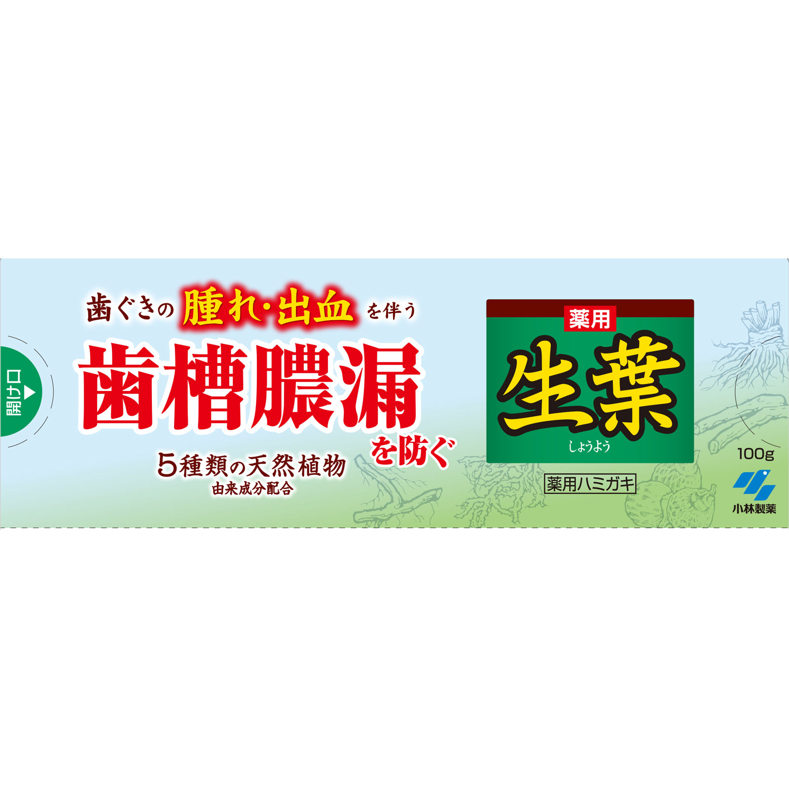 生葉ｃ １００ｇ 小林製薬 (医薬部外品)
