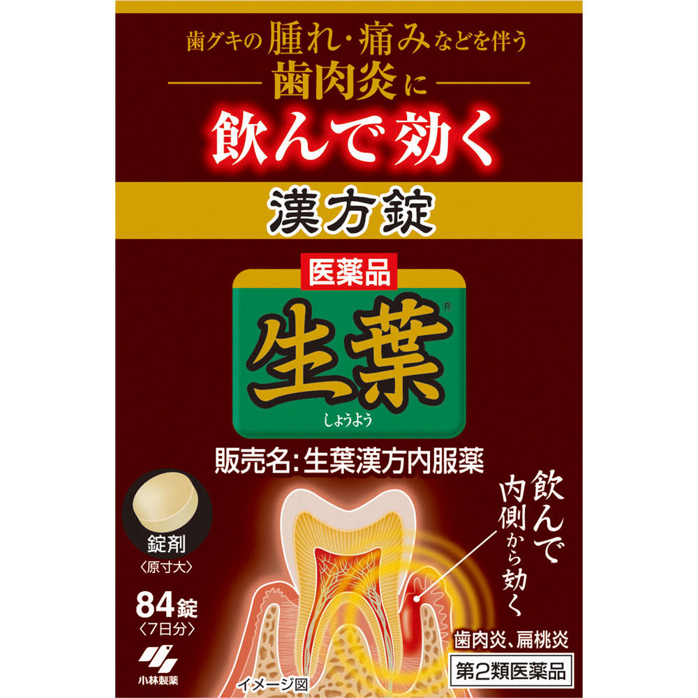 小林製薬 生葉漢方錠 ８４錠 【第2類医薬品】