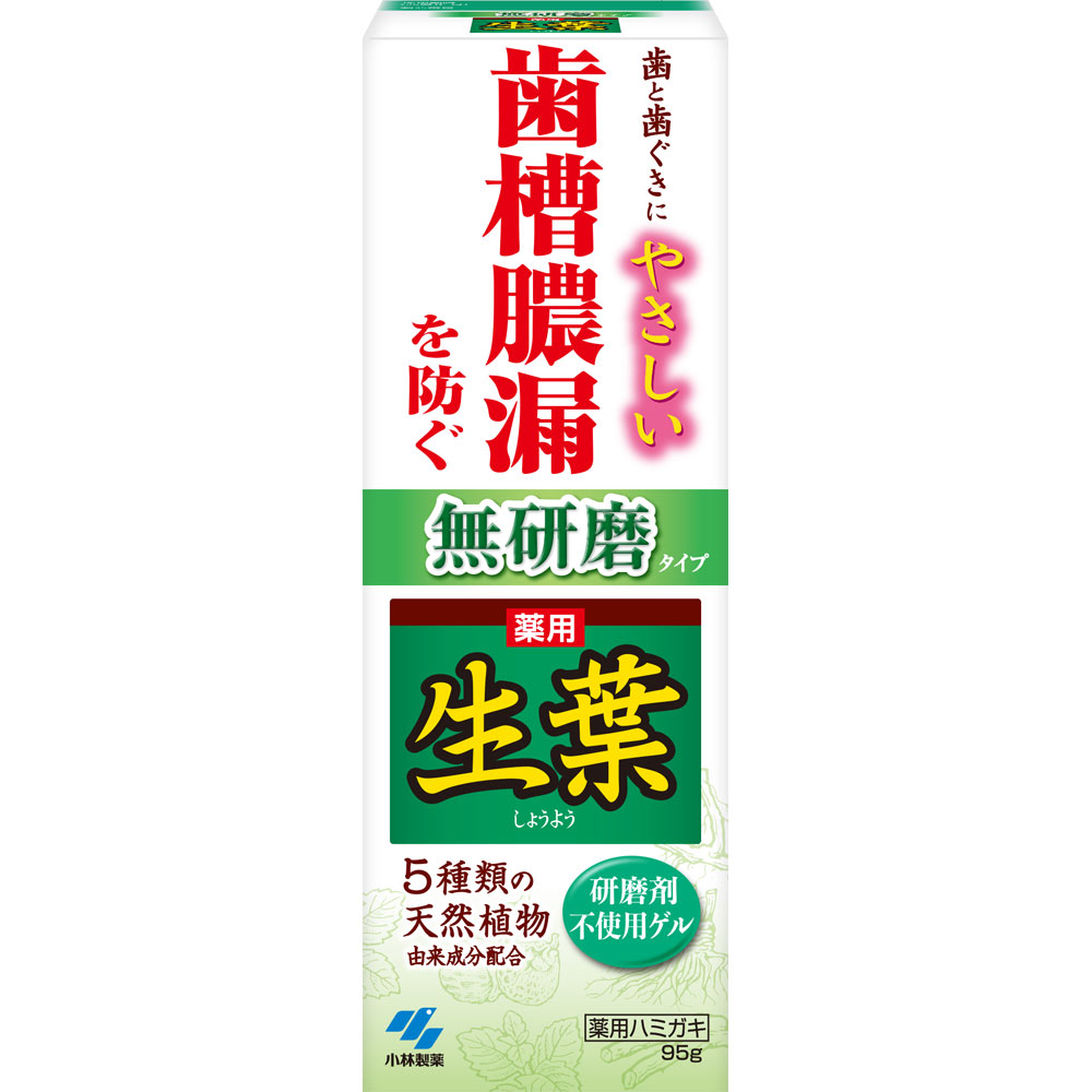 生葉無研磨タイプ ９５ｇ 小林製薬 (医薬部外品)
