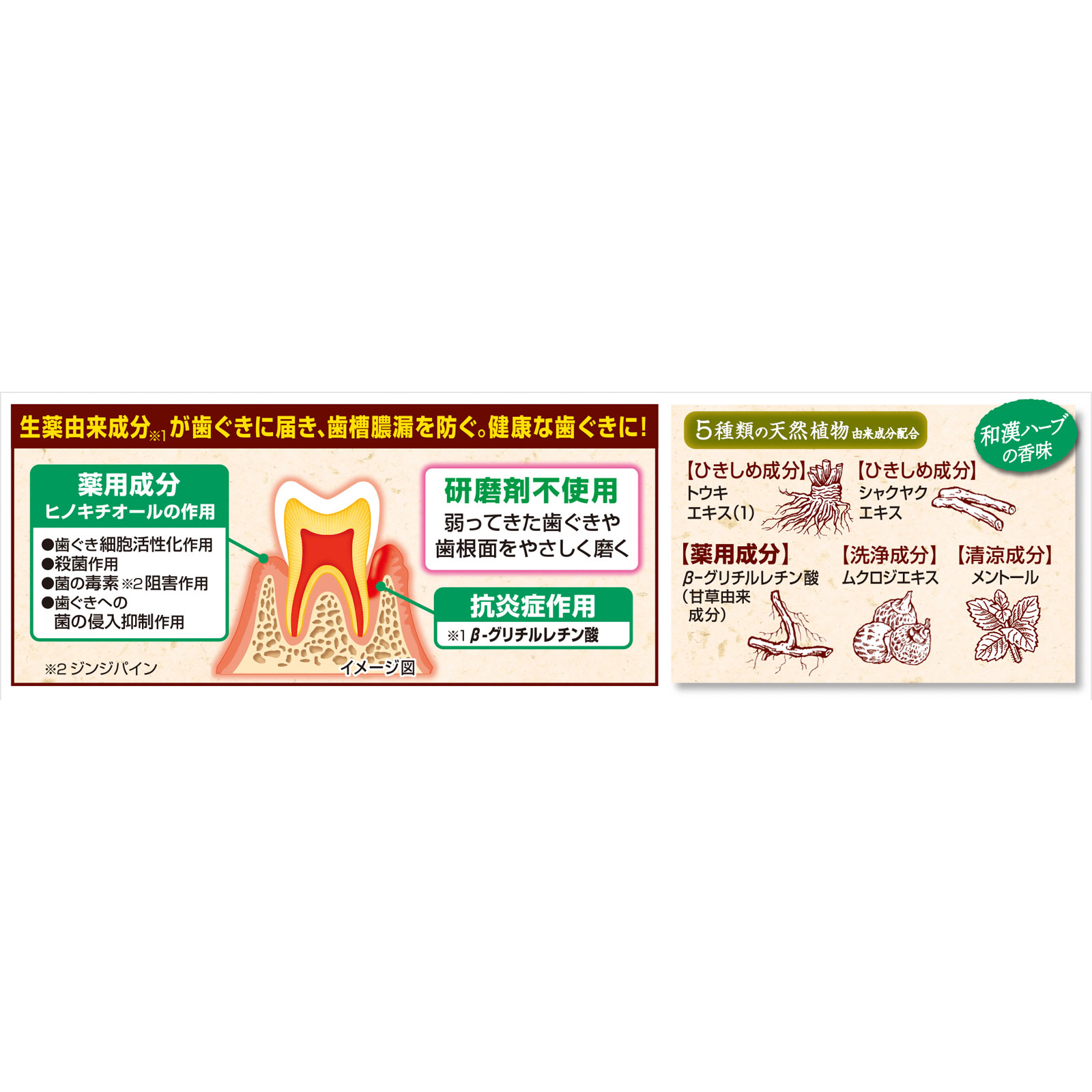 生葉無研磨タイプ ９５ｇ 小林製薬 (医薬部外品)