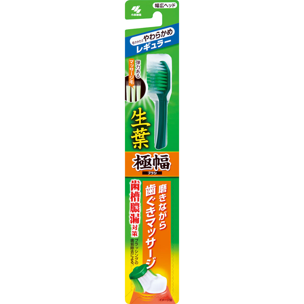 小林製薬 生葉極幅ブラシ やわらかめ １本