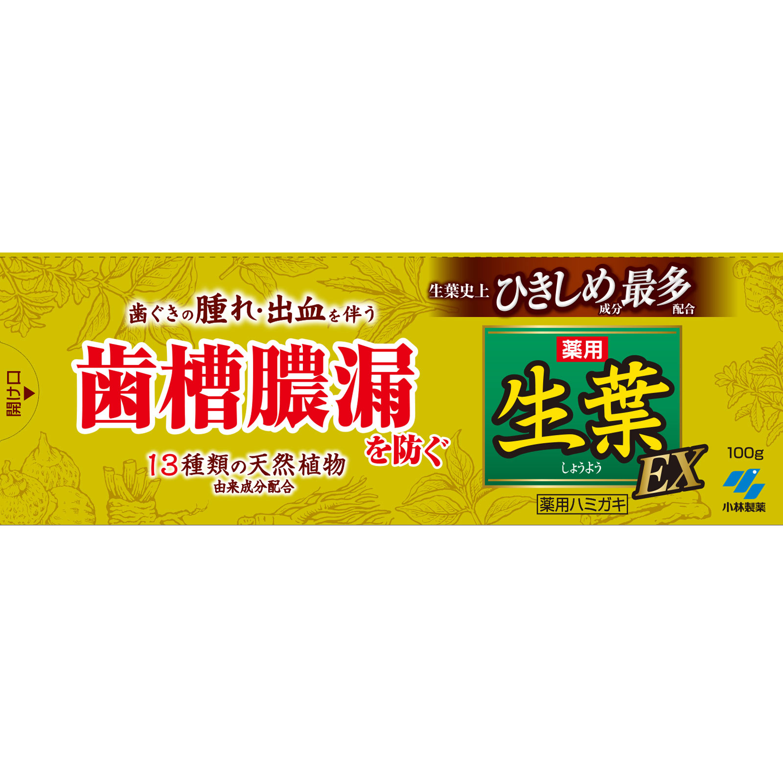 小林製薬 生葉EX １００ｇ (医薬部外品)