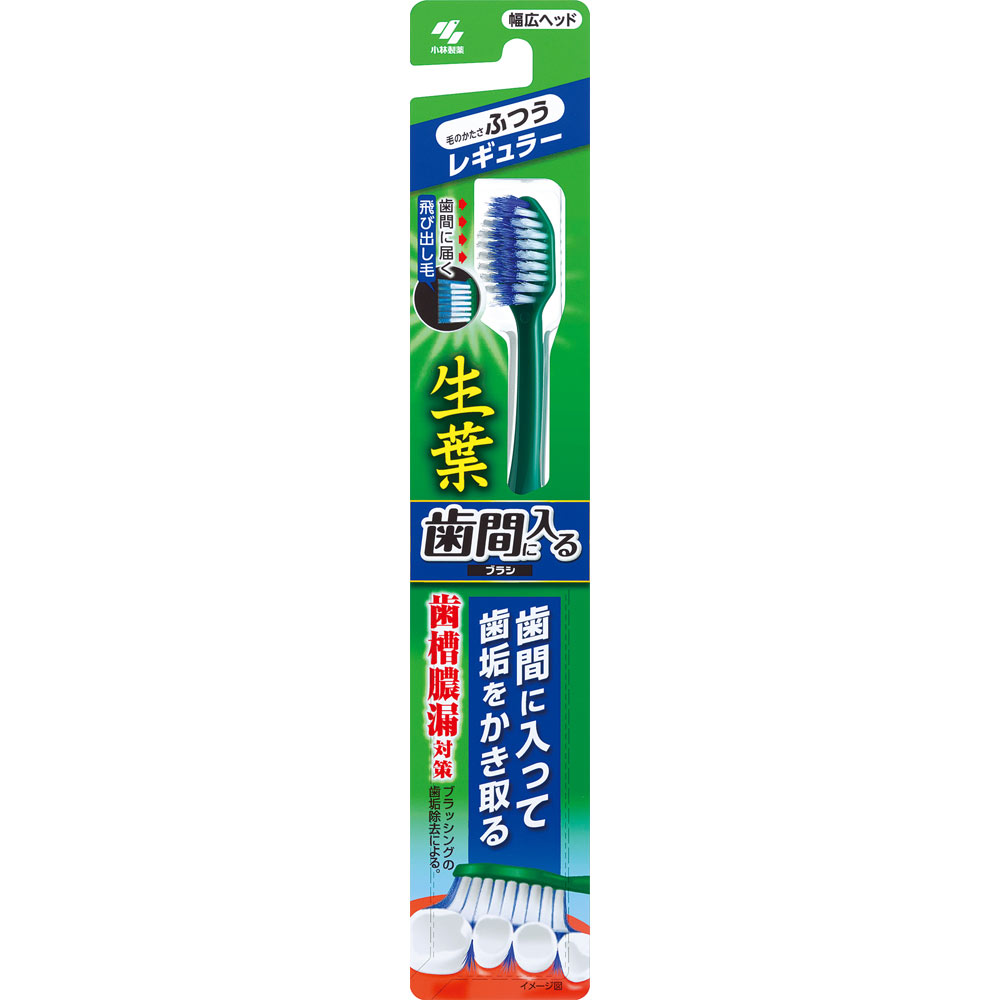 小林製薬 生葉歯間に入るブラシ レギュラー ふつう １本