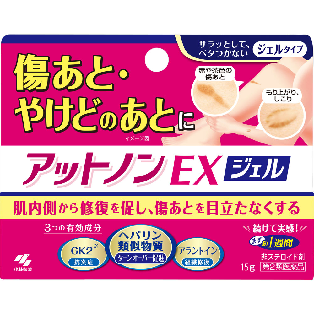 アットノンEX ジェル １５ｇ 小林製薬 【第2類医薬品】
