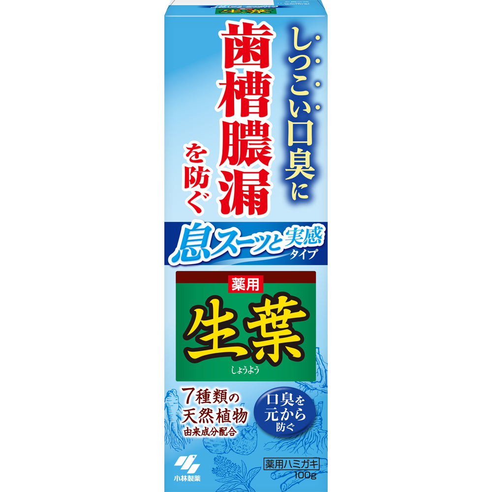 生葉Ｉ　息スーッと実感 １００ｇ 小林製薬 (医薬部外品)