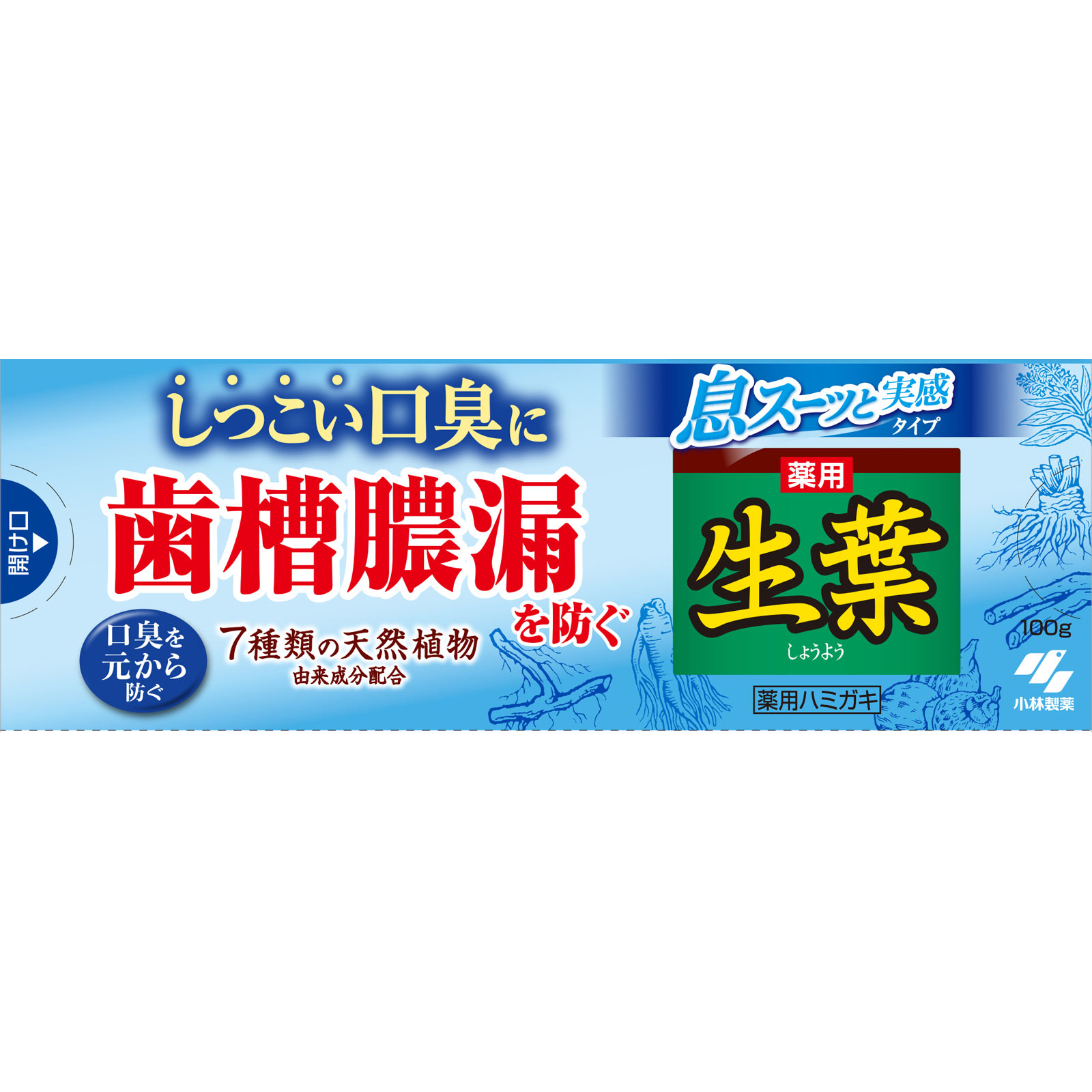 生葉Ｉ　息スーッと実感 １００ｇ 小林製薬 (医薬部外品)