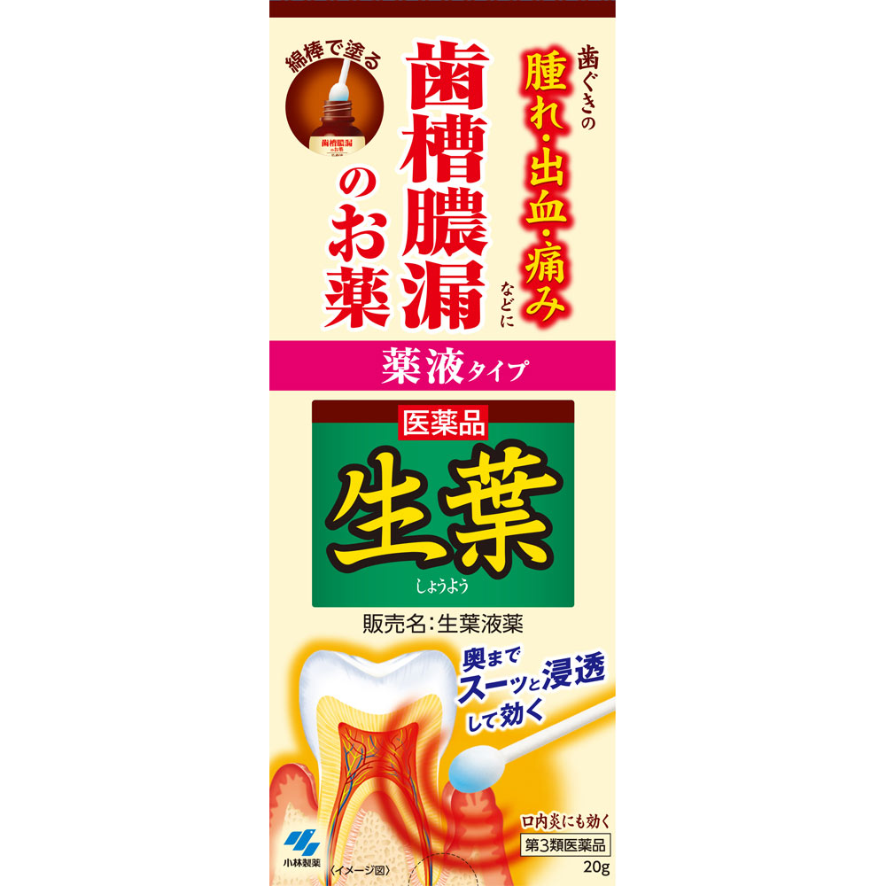 生葉液薬 ２０ｇ＋３０本 小林製薬 【第3類医薬品】