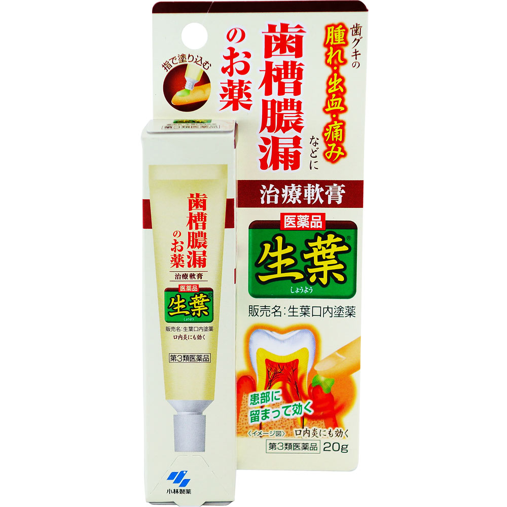 小林製薬 生葉口内塗薬 ２０ｇ 【第3類医薬品】