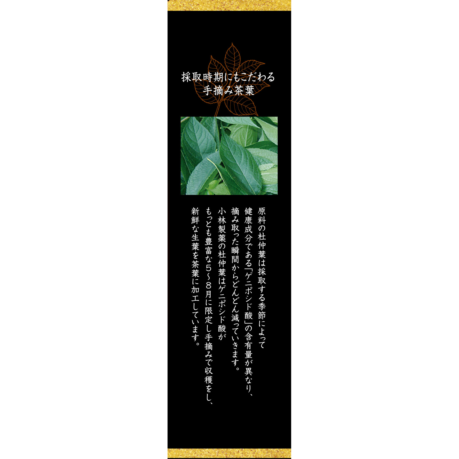 小林製薬の濃い杜仲茶 ３０袋 小林製薬
