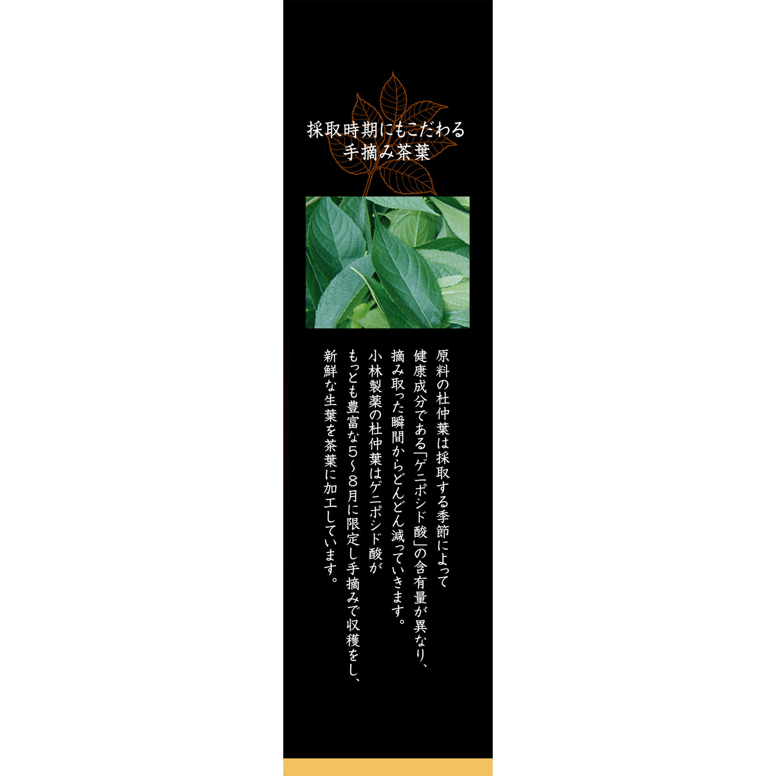 小林製薬の濃い杜仲茶 ３０袋 小林製薬