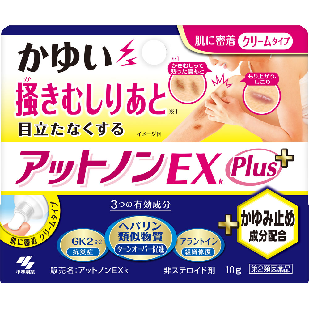 アットノンEX かゆみ止めプラス １０ｇ 小林製薬 【第2類医薬品】