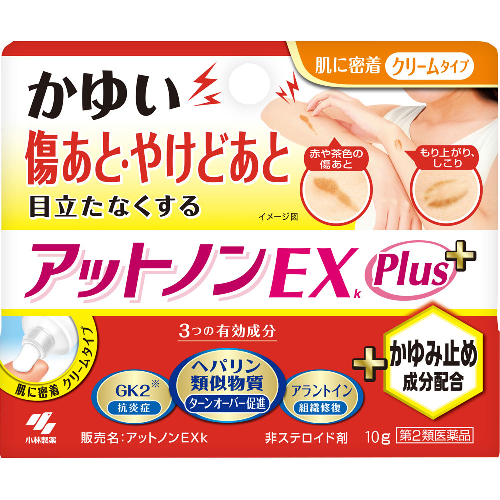 アットノンEX かゆみ止めプラス １０ｇ 小林製薬 【第2類医薬品】