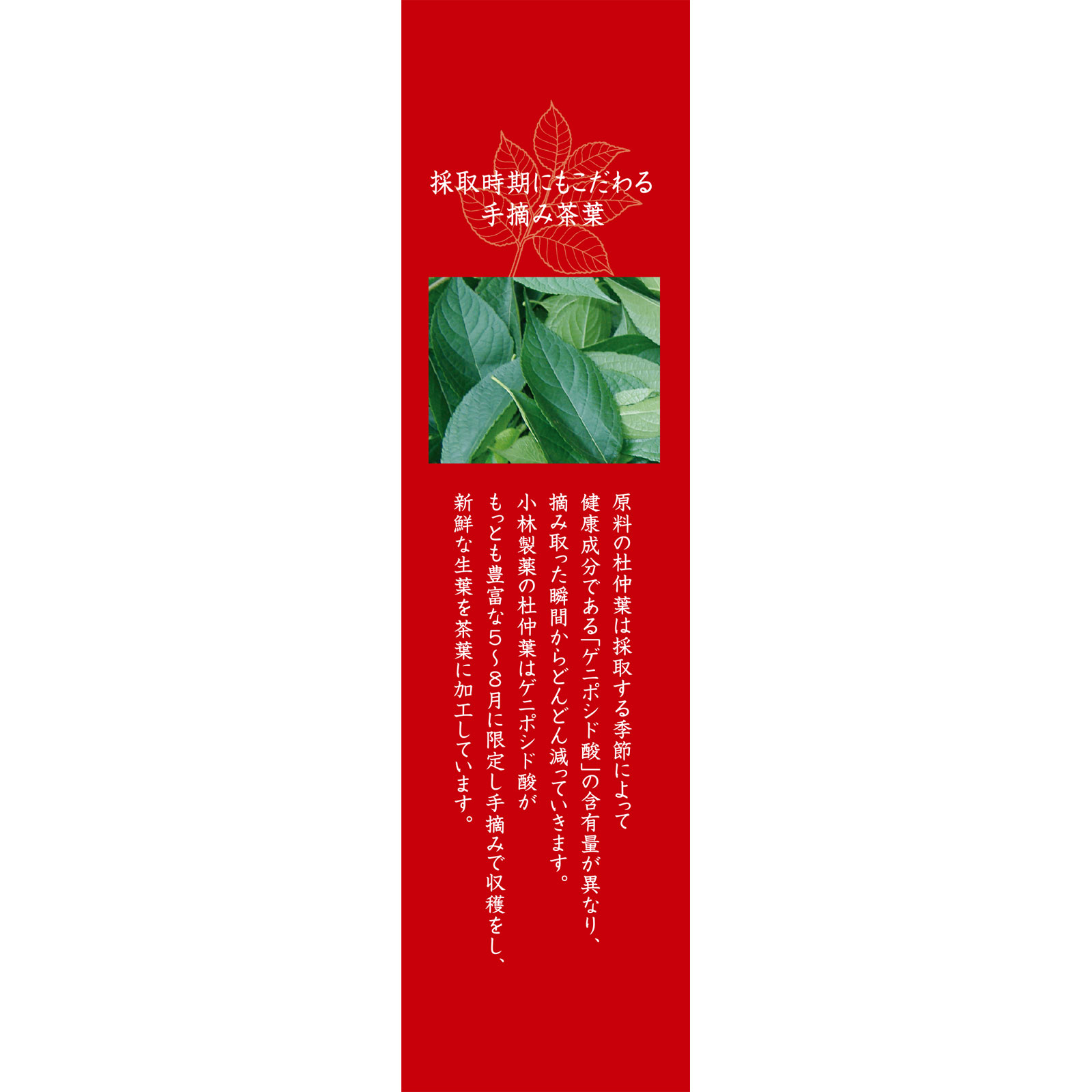 小林製薬の血管杜仲茶 ３０袋 小林製薬