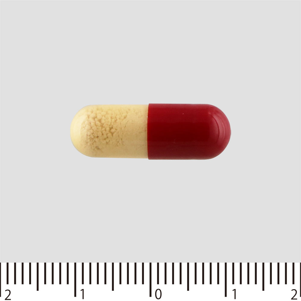 新ハイゼリーエースE ９０Ｐ ゼリア新薬工業 【第3類医薬品】