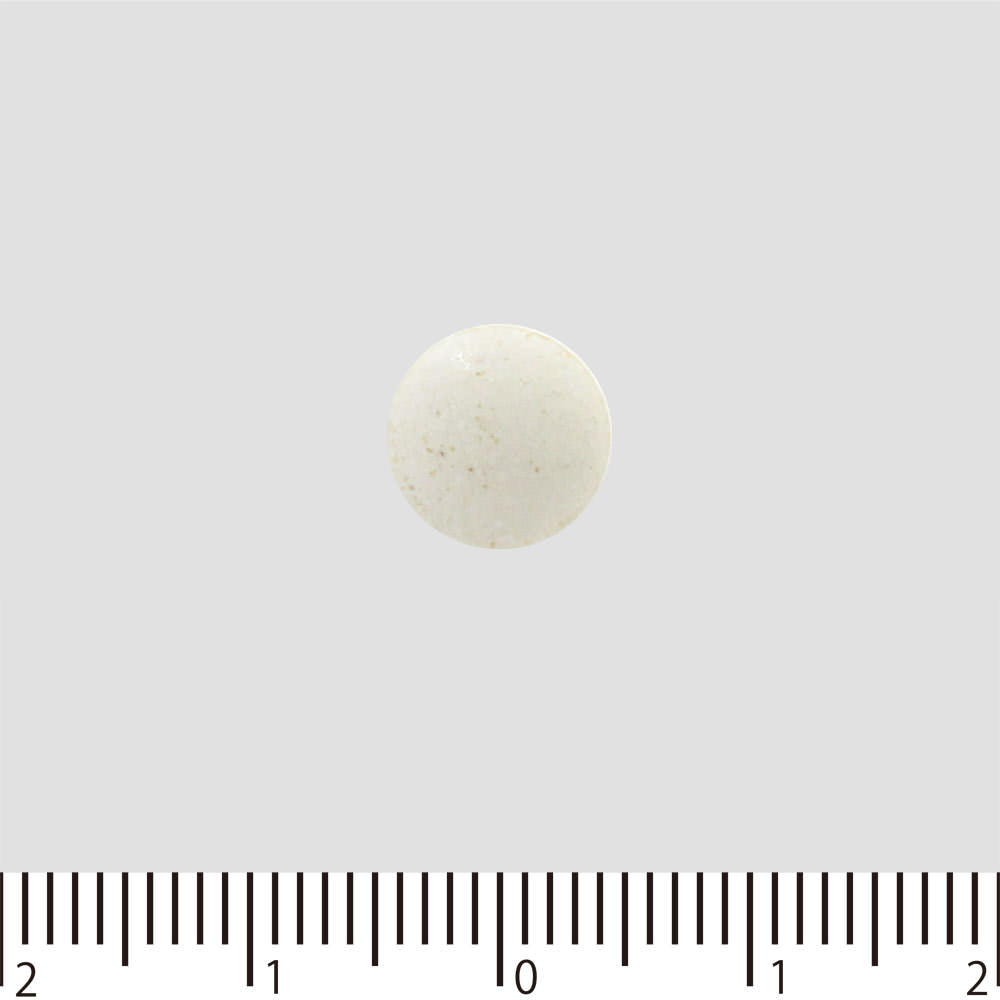 コンドロサポート ２８８粒 ゼリア新薬工業