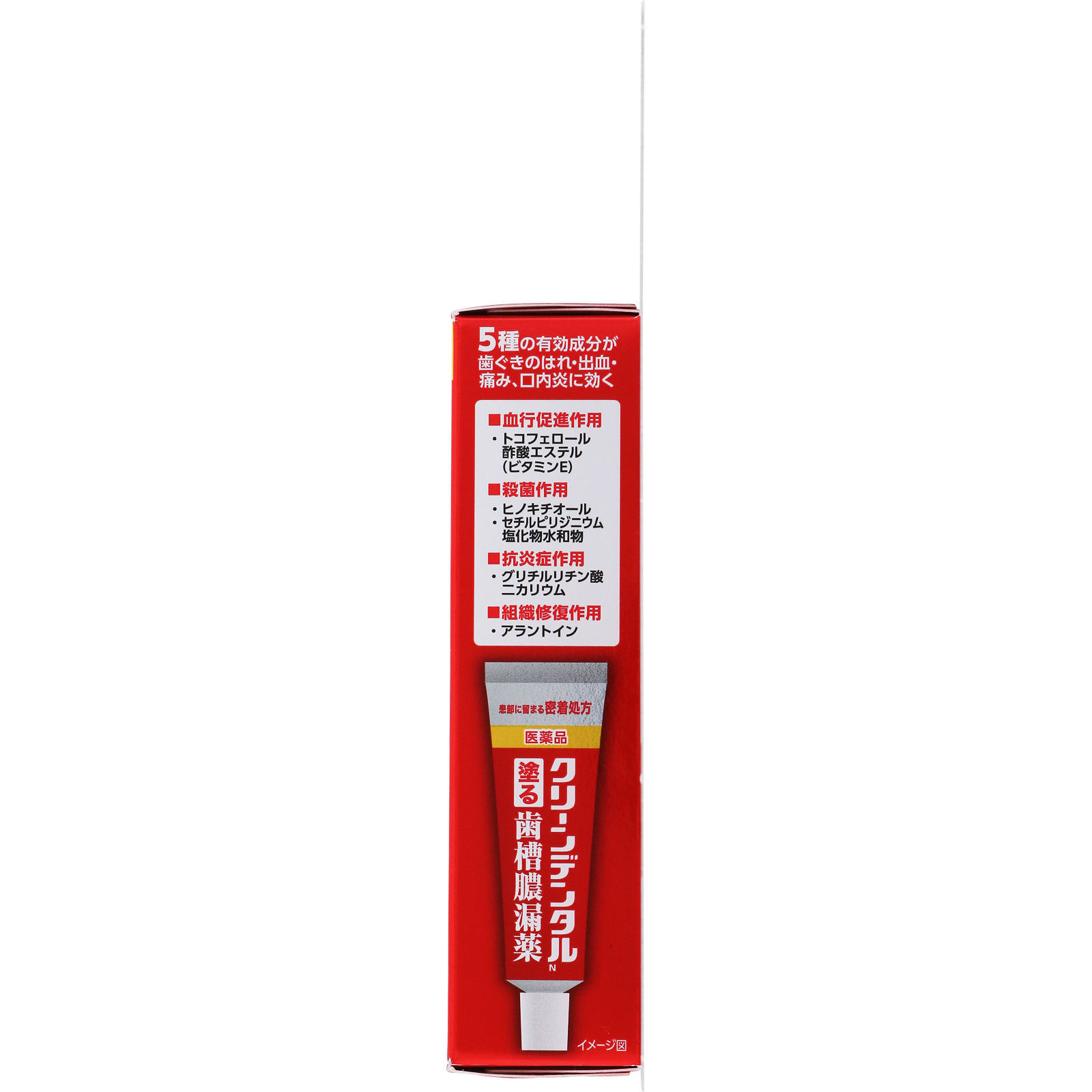 クリーンデンタル 塗る歯槽膿漏薬 ８ｇ 第一三共ヘルスケア 【第3類医薬品】