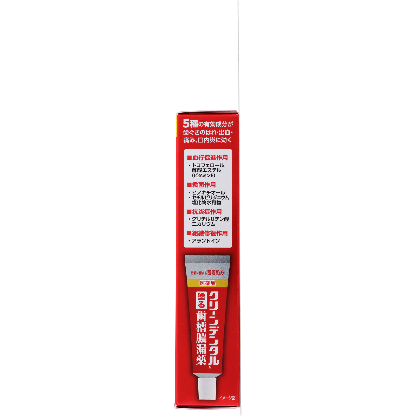 クリーンデンタル 塗る歯槽膿漏薬 １６ｇ 第一三共ヘルスケア 【第3類医薬品】