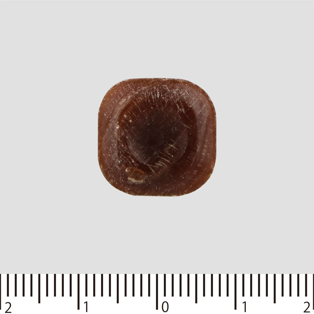 カフェロップ １２粒 第一三共ヘルスケア 【第3類医薬品】