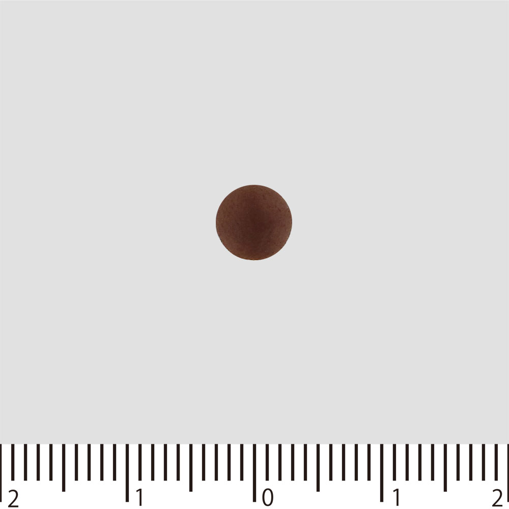 正露丸 １００粒 大幸薬品 【第2類医薬品】