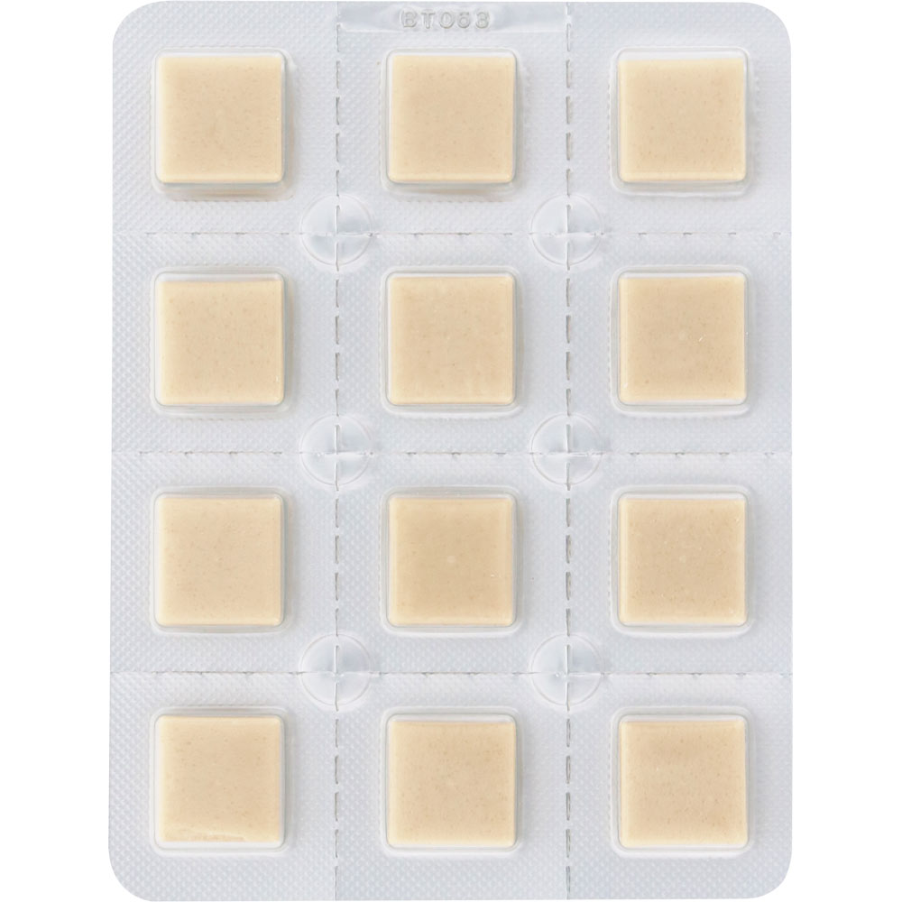 ニコレット ２４個 アリナミン製薬 【指定第2類医薬品】