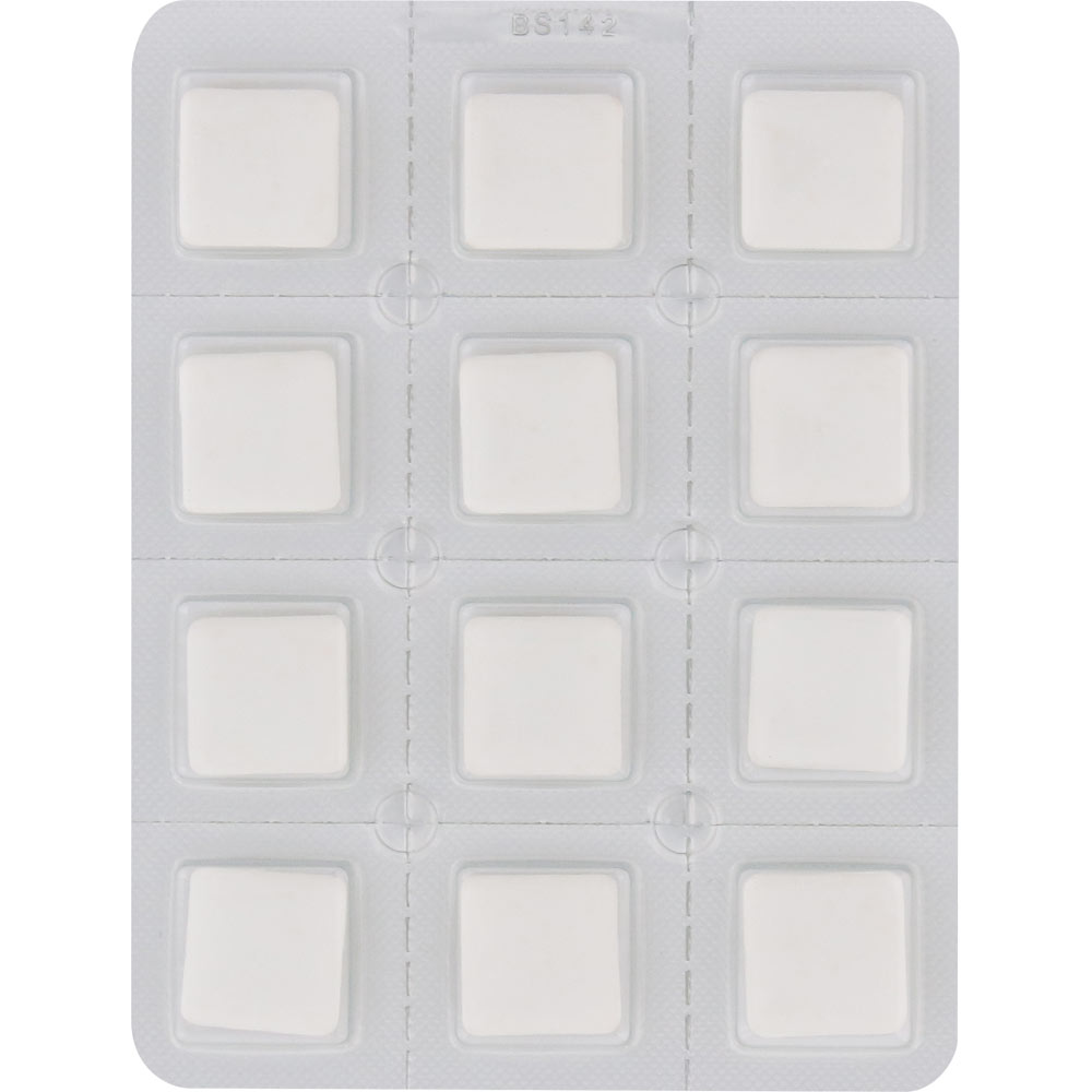 ニコレットフルーティミント １２個 アリナミン製薬 【指定第2類医薬品】