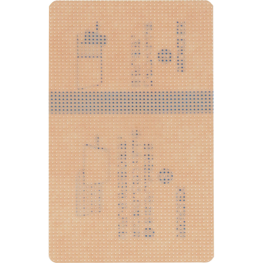 サロンパス EX ４０枚 久光製薬 【第2類医薬品】