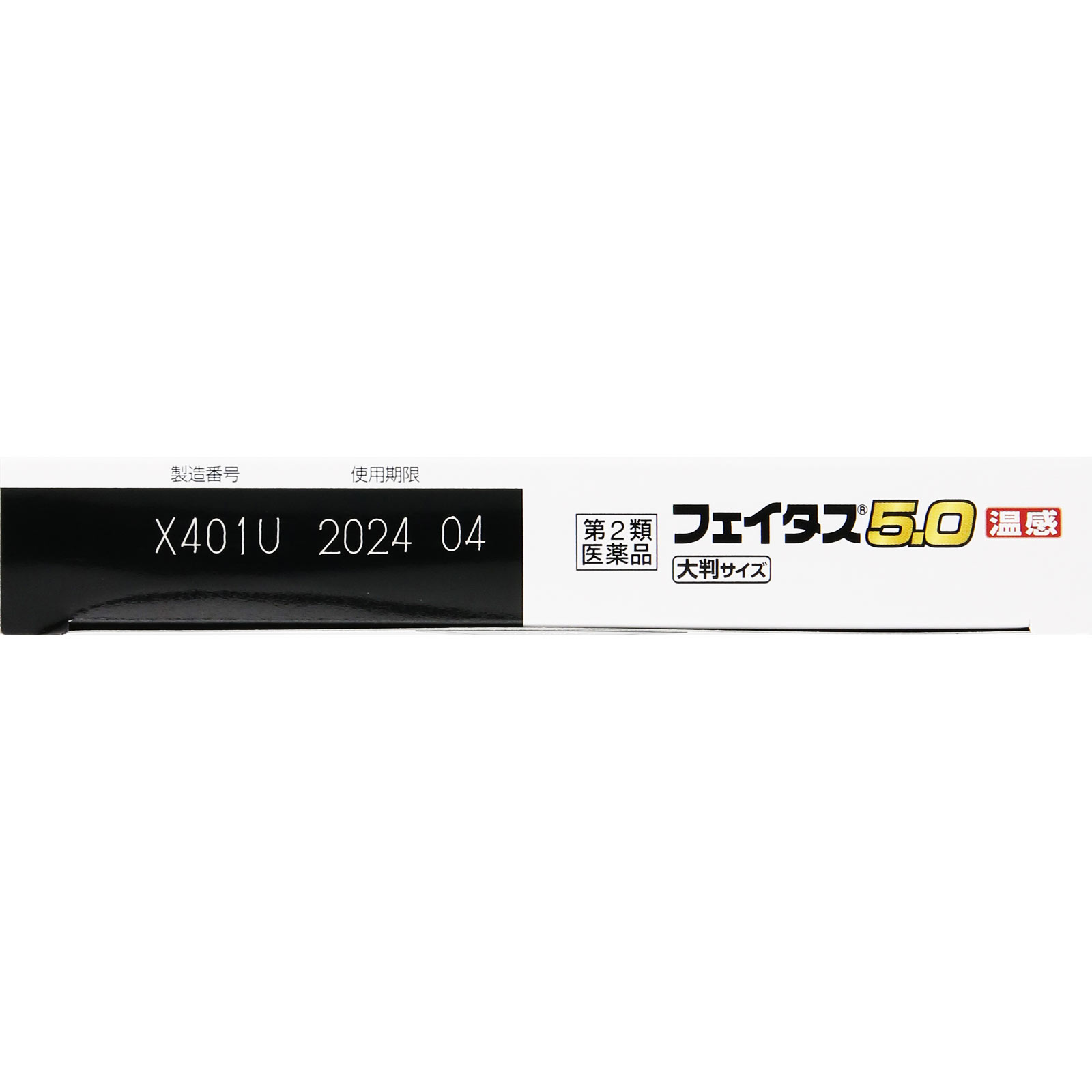 フェイタス５．０温感大判サイズ ２０枚 久光製薬 【第2類医薬品】